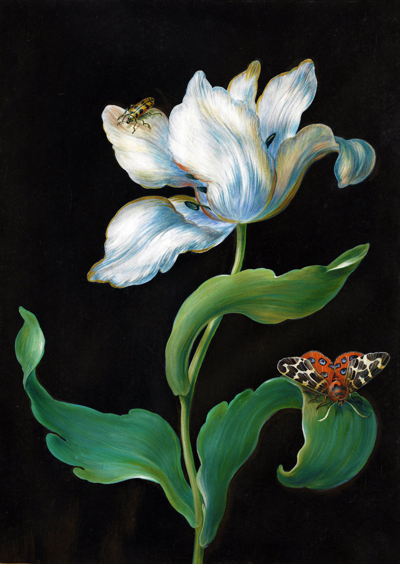 Artwork by Barbara Dietzsch